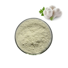 Factory Price Garlic Extract Powder allicin 1%-5%